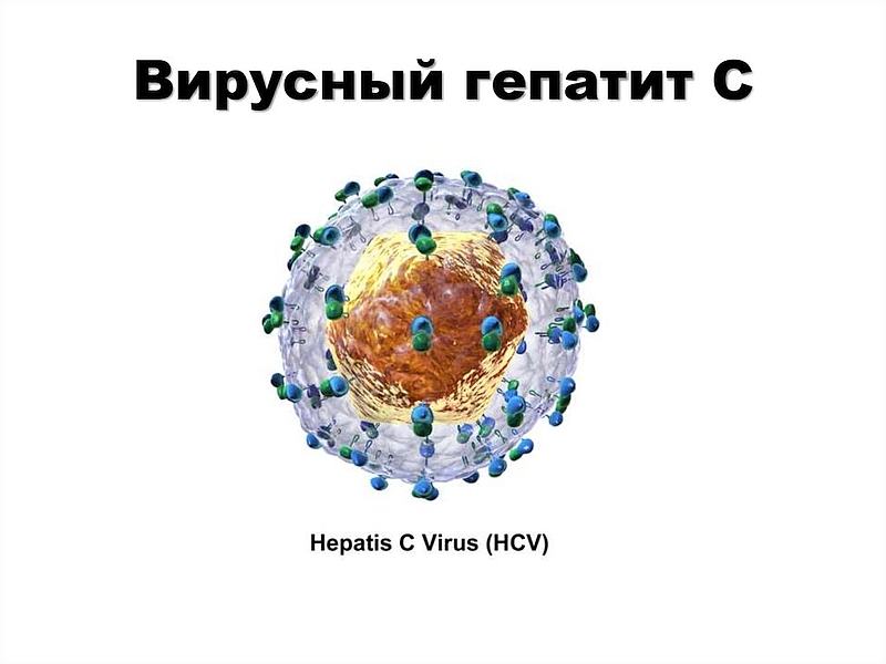 Методические рекомендации по профилактике вирусного гепатита С.